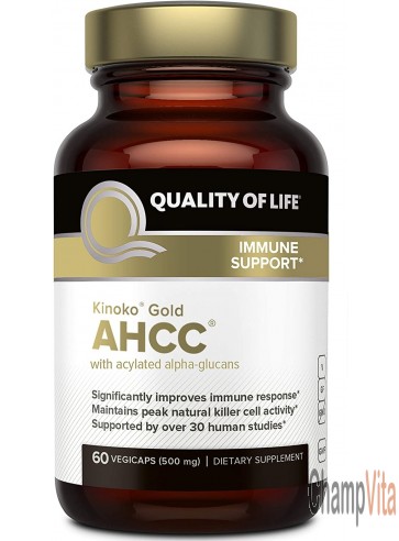 Quality Of Life Kinoko 