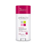 Rose Pomegranate Botanical Deodorant 2.65 Oz Vegan Andalou Naturals