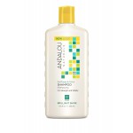 Sunflower Citrus Brilliant Shine Shampoo 11.5oz Andalou Naturals